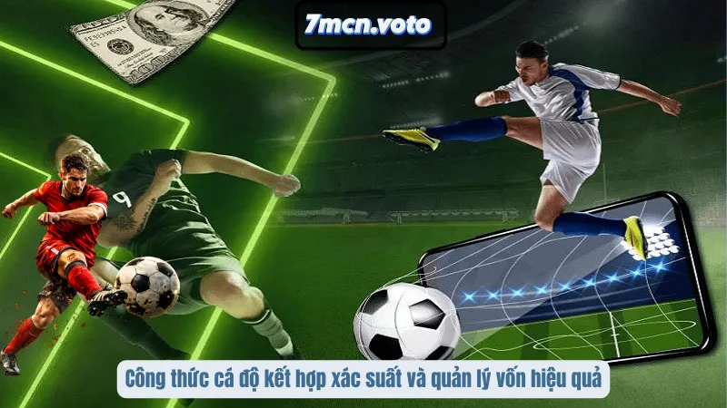Công thức cá độ kết hợp xác suất và quản lý vốn hiệu quả