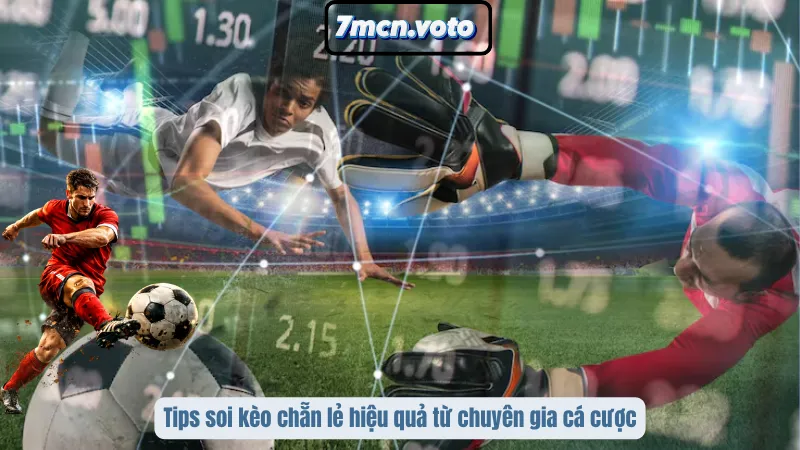 Tips soi kèo chẵn lẻ hiệu quả từ chuyên gia cá cược