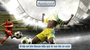 Bí kíp soi kèo Macao hiệu quả từ cao thủ cá cược