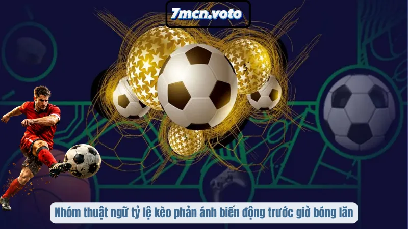 Thuật Ngữ Cá Cược Bóng Đá – Cẩm Nang Nhập Môn Cho Bet Thủ 3 Nhóm thuật ngữ tỷ lệ kèo phản ánh biến động trước giờ bóng lăn