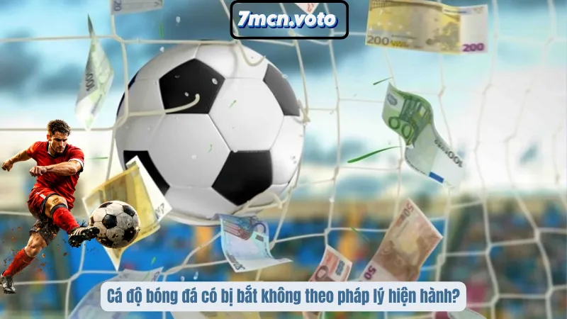 Cá độ bóng đá có bị bắt không theo pháp lý hiện hành?