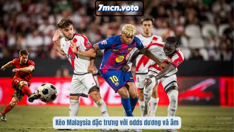 Cách Đọc Tỷ Lệ Kèo Malaysia Để Tối Ưu Lợi Nhuận Khi Soi Kèo 1 Kèo Malaysia đặc trưng với odds dương và âm