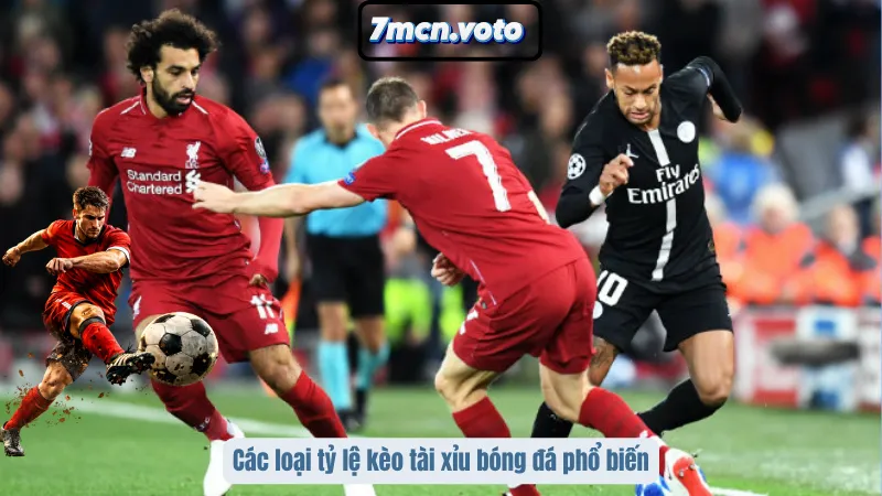 Kèo Tài Xỉu Bóng Đá - Đọc Vị Bảng Cược Để Lượm Lúa Mỗi Đêm 3 Các loại tỷ lệ kèo tài xỉu bóng đá phổ biến